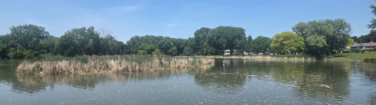 A springtime Lake Edina